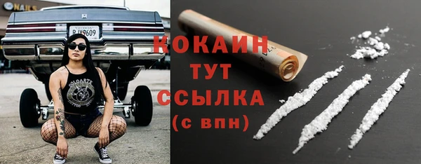 дживик Кукмор
