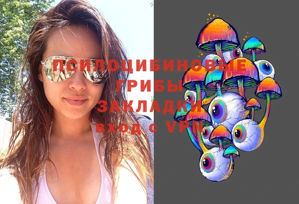 дживик Кукмор